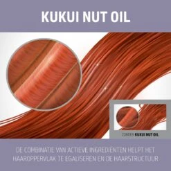 Goldwell Dualsenses Just Smooth 6 E-Serum 100ml -L'Oreal Verkoop 4021609061298 3