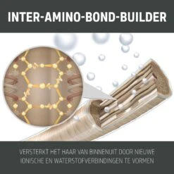Goldwell Dualsenses Bond Pro Day & Night Bond Booster 75ml 6 Goldwell Dualsenses Bond Pro Day & Night Bond Booster 75ml -L'Oreal Verkoop 4021609062349 3