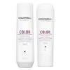 Goldwell Dualsenses Color Brilliance Shampoo 250ml + Conditioner 200ml