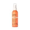 WeDo Detangle Detangling Spray 100ml